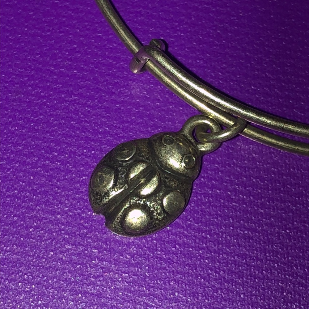 Alex and Ani - Picture 2 of 2